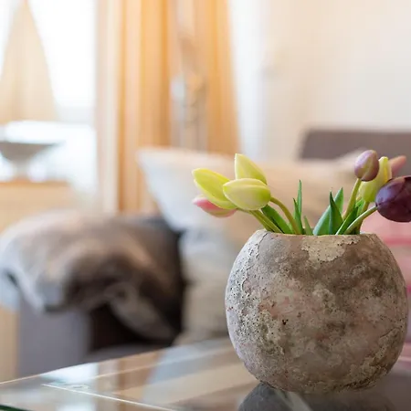 668 Sweet アパート ゼリン